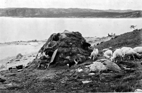 Vestlige gener og østlig språk: Paradokset i samenes historie
