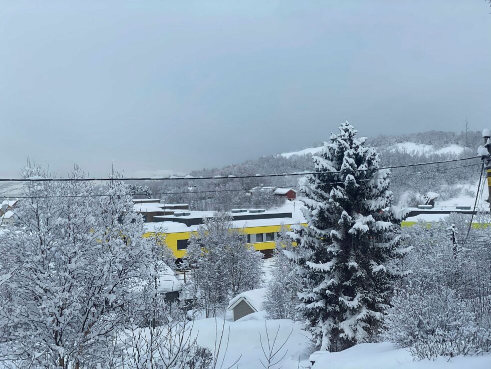 Det var tiendeklassinger fra Kirkenes skole (gul bygning), som sist fredag var involvert i en snehulegravingsulykke, som endte bra i Langøra utenfor Kirkenes.
 Foto: Hallgeir Henriksen