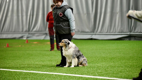 Finnmarksmesterskapet i lydighet
