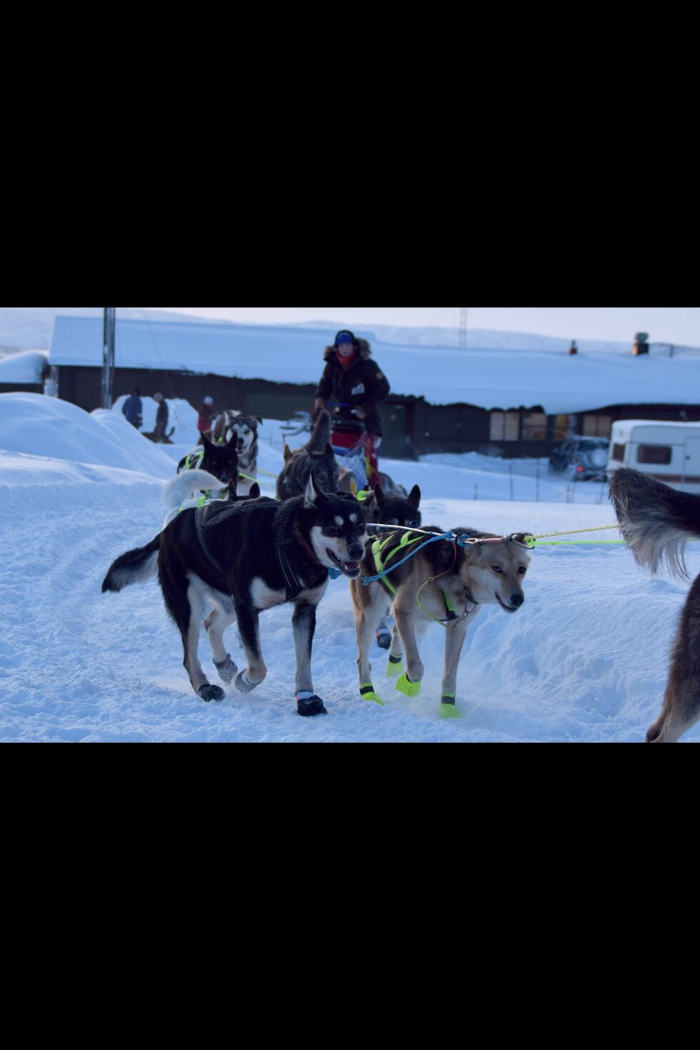 I dag starter 650-klassen på Nyborgmoen med 18 deltakende ekvipasjer. En av dem er lokalfavoritt Aila Sarre fra Masjokdalen. Bildet er fra fjorårets løp.
 Foto: Hilde Porsanger