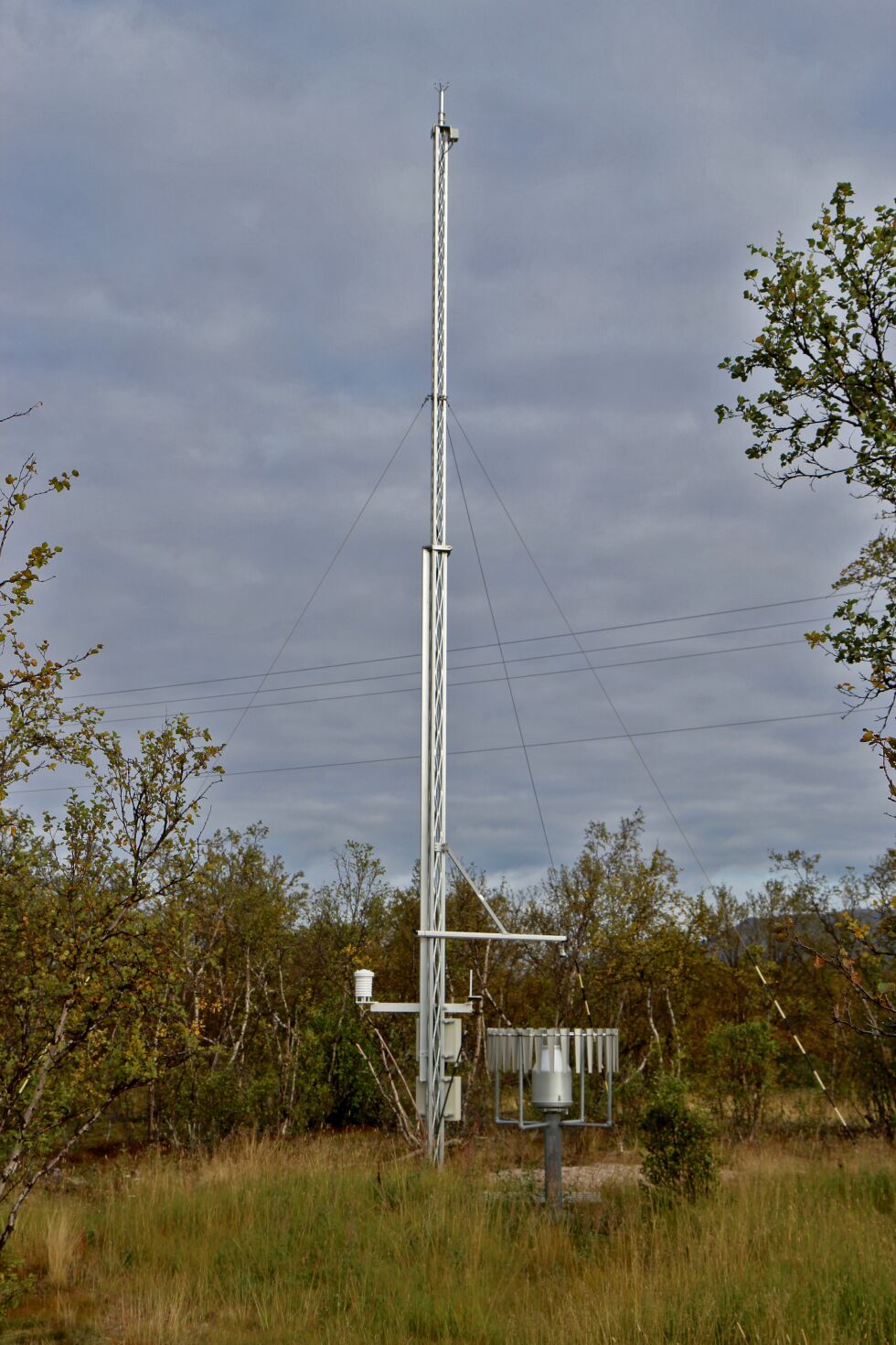 Hver av stasjonene vil ha en 10 meter høy mast, med blant annet sensorer og solcellepanel, nøyaktig lik denne som står ved Tana bru.
 Foto: Torbjørn Ittelin