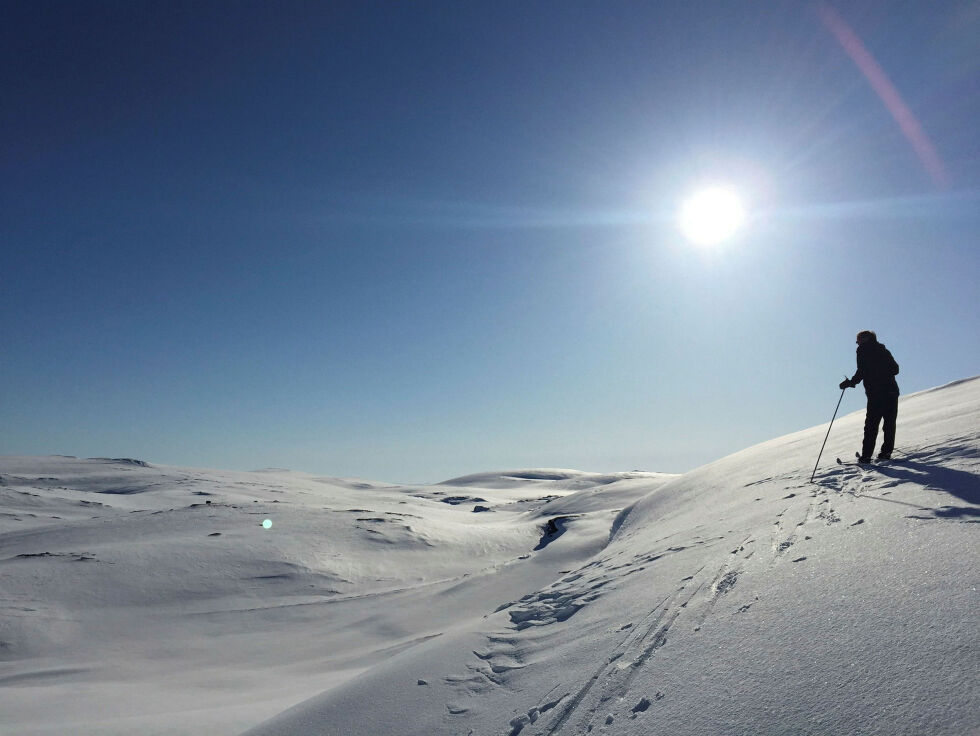 Finnmark friluftsråd har planer om arrangementer gjennom hele året. Det har allerede kommet inn gode mønstre for perletur-votten.
 Foto: Irene Andersen