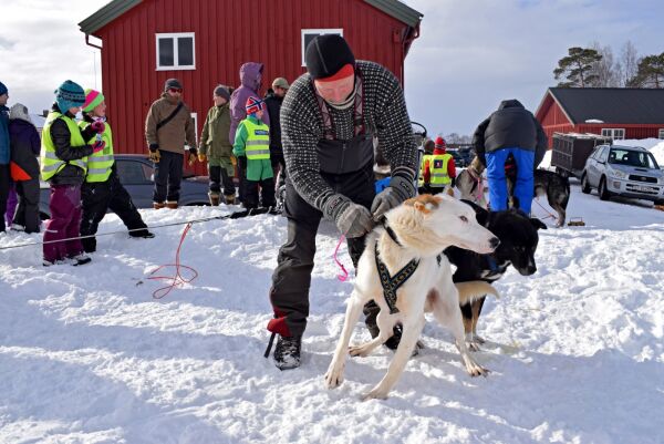 Pasvik Trail-kjørere vil gjerne ha lengre løp