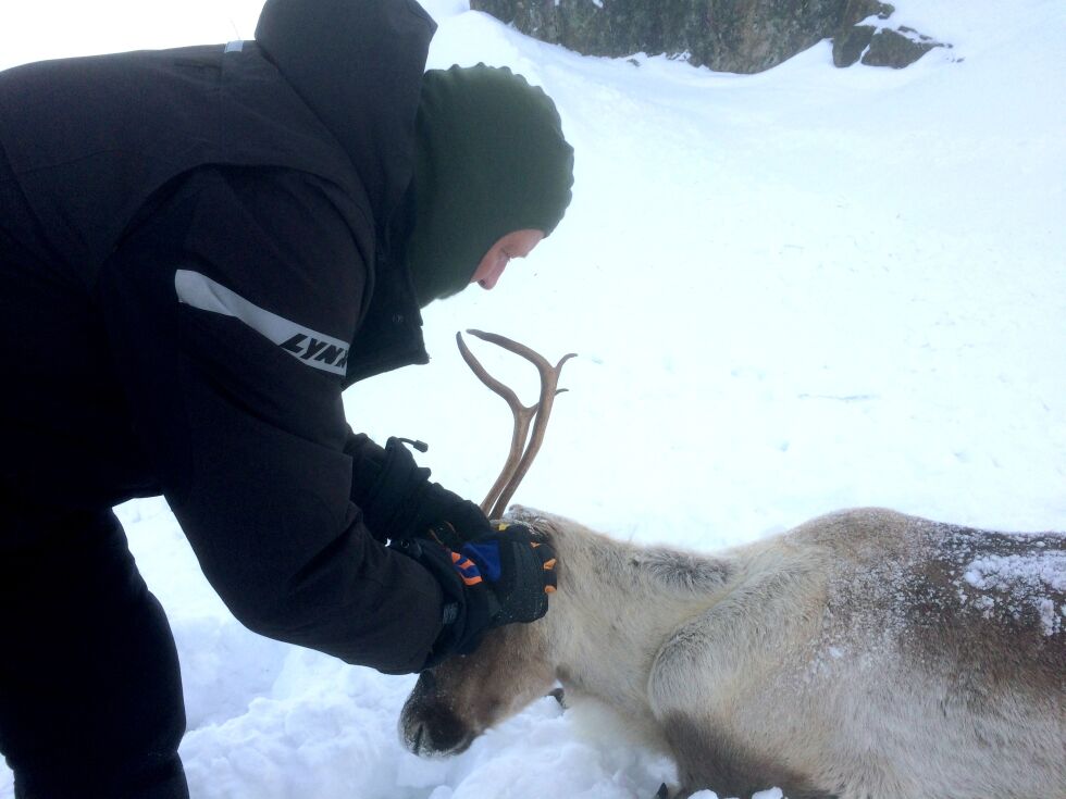 Ulf Eilif Hildonen berga sist helg ei simle ut fra et ras.
 Foto: Privat