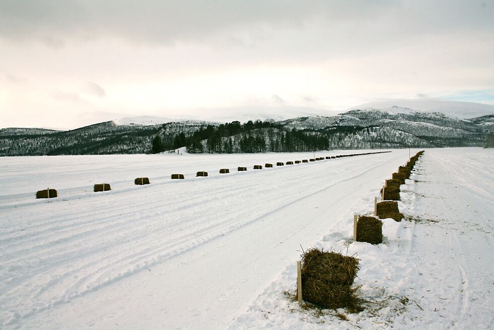 Skoganvarre i Porsanger er skrotet som sjekkpunkt under Finnmarksløpet.
 Foto: Roger Albrigtsen