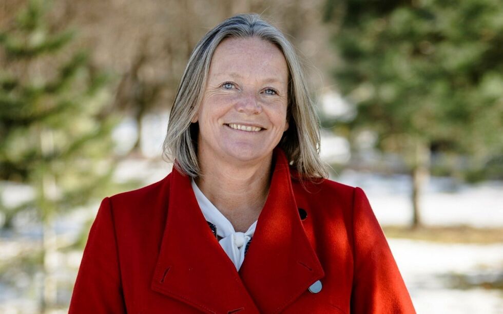 Hilde Widerøe Wibe, daglig leder Norske Trevarer
(Pressefoto)