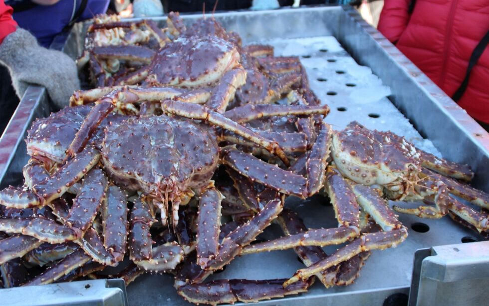 Øst-Finn­mark regionråd fryk­ter fisk­er­ne i øst­fyl­ket vil kun­ne bli ska­de­li­den­de om man slip­per inn fisk­ere fra vest i det kom­mer­si­el­le krab­be­fiske øst for Nord­kapp.
Il­lust­ra­sjons­fo­to: Tor­bjørn It­te­lin