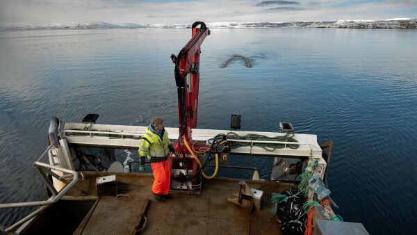 Anbefaler å kun åpne deler av Porsangerfjorden for reketrålfiske