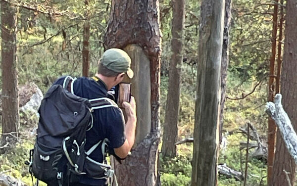 Vi heier på FeFos frivillig vern av urskog i Pasvik