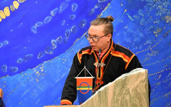 Tjeldsunds egne «samelister»
