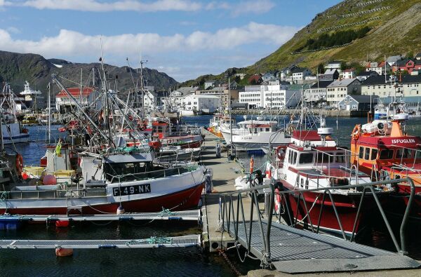 Smitten øker i Nordkapp