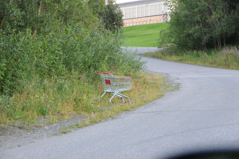 Det er til å undres over hvordan denne handlevogna har havna i Verksbakken, vel 200 meter unna nærmeste butikk. Foto: Hallgeir Henriksen
 Foto: Hallgeir Henriksen