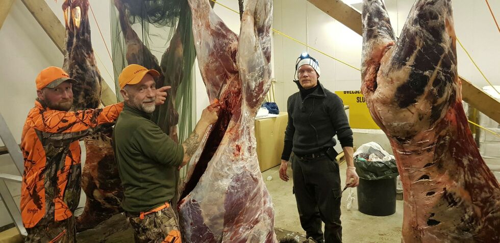 Even Borthen, Stig Bye og Anders Mikkola er fornøyde med jakta.
ALLE FOTO: Privat