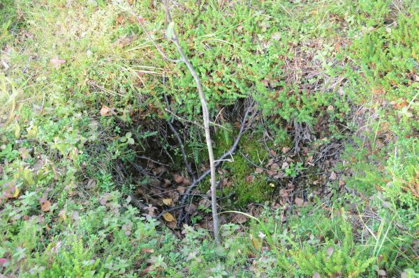 Naturen sletter krigsminnesmerker