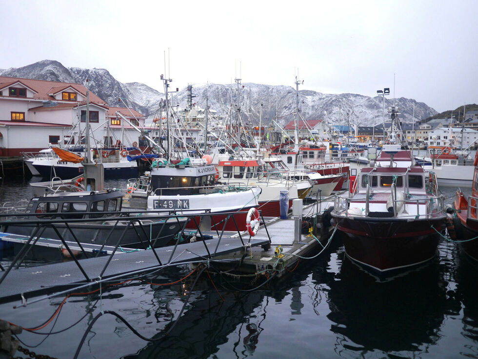 – Når det gjelder fiskeriene er Honningsvåg havn viktig i både lokal og nasjonal betydning, skriver Kystverket, som nylig bevilget seks millioner kroner til videre utvikling av havna.
 Foto: Geir Johansen