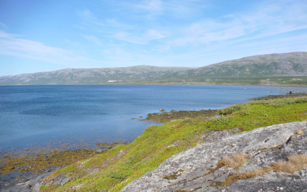 Østerbotn juli 2023.
 Foto: LLI