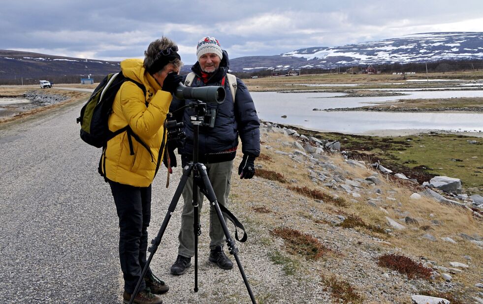 «Kom og se, En steinvender!»: Teleskop og en god kikkert er viktige redskap for fugletitterne.
 Foto: Hanne Klemetsen