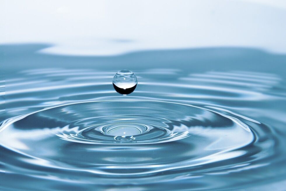 Illustrasjonsfoto fra Rony Michaud/Pixabay