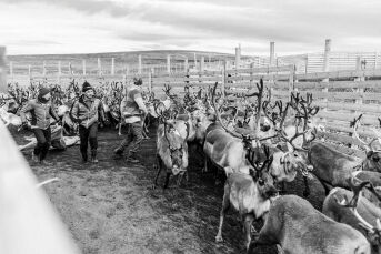 – Grunnlaget faller bort
