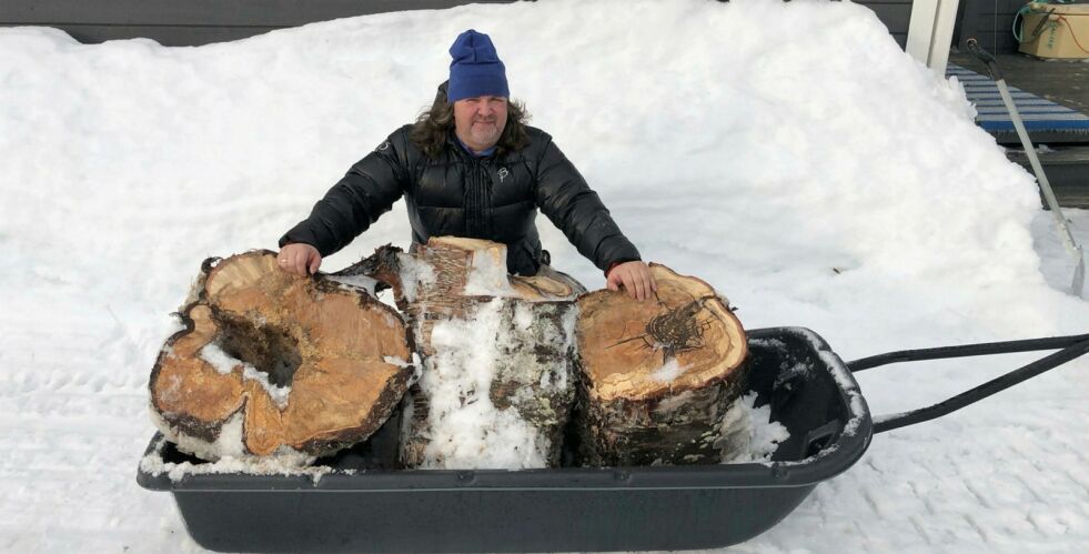 Storbjørka som Helge Stærk har frakta hjem til Ropelv hadde en diameter på 60 centimeter ved rota, og halvannen meter over rota var omkretsen halvannen meter. Foto: Inger Stærk