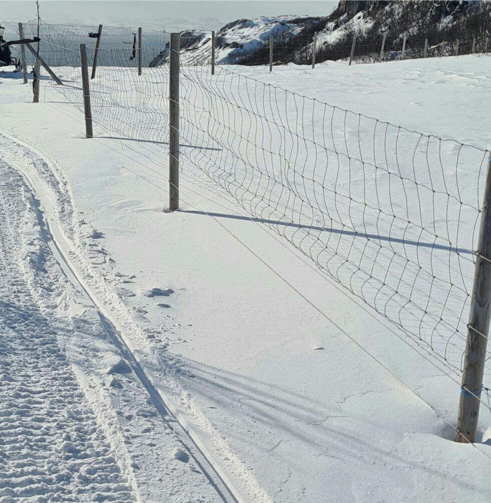 Gjerdet skal redusere konfliktnivået i området.
 Foto: Erik Strifeldt