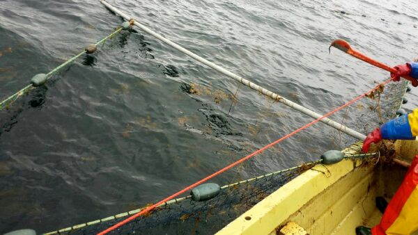 Tradisjonelt sjøsamisk  fiske med moderne utstyr - del 1 av 2
