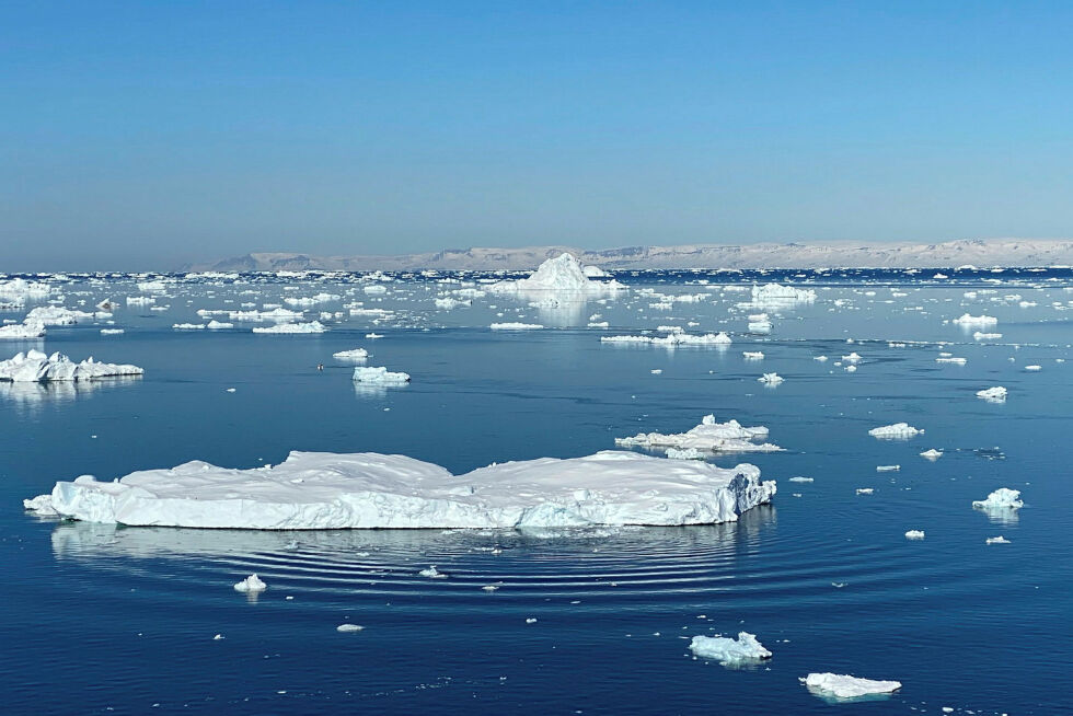 UiT i Tromsø skal samarbeide med en utdanningsinstitusjon i Japan om klimaendringer påvirker økosystemene i arktiske og alpine områder.
 Foto: Rune Sundelin, UiT