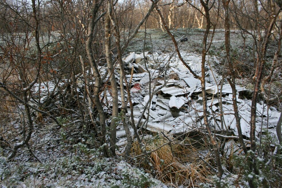 Eternittplater er spesialavfall man ikke kan belaste naturen med.
 Foto: Anthon Sivertsen