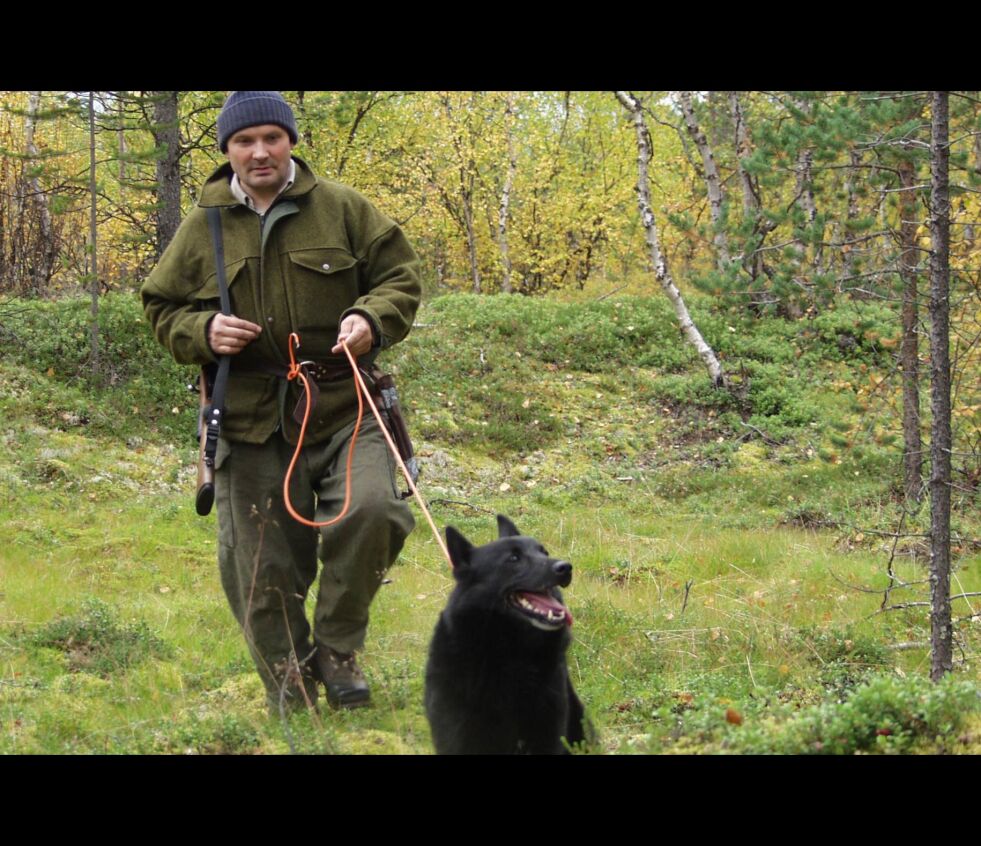 Her er Asbjørn Guttorm og Sarvvis i aksjon. Nå håper Guttorm på sin 35. elgjakt.
 Foto: Einar J. Asbjørnsen