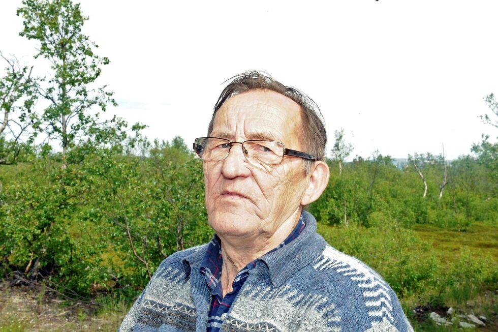 Dagen etter jaktstart observerte Harry Pettersen at heller ikke rypekyllingene i Vest-Finnmark er flyvedyktige. Arkivfoto