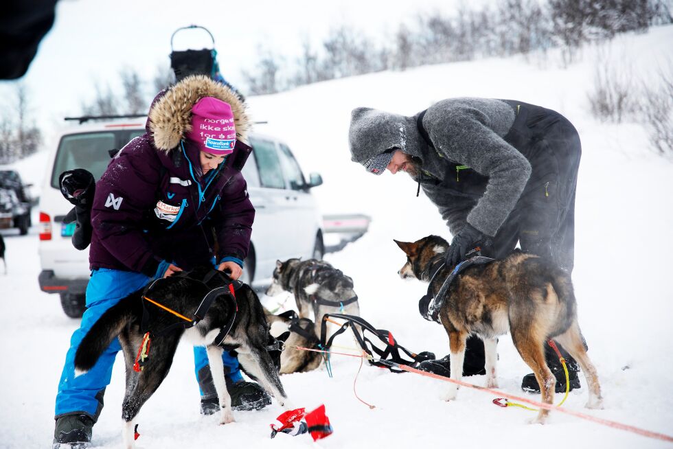 Det er hundene som får mest skryt fra Silje Máret. I midten er hunden Silje Máret omtaler som sin «superleder» og trygghet. Hunden heter Šhakkis, og kunne dessverre ikke være med i mål denne gangen. Šhakkis ble plukket opp i Váljok av handler og rmamma, Berit.
 Foto: June  Helén Bjørnback