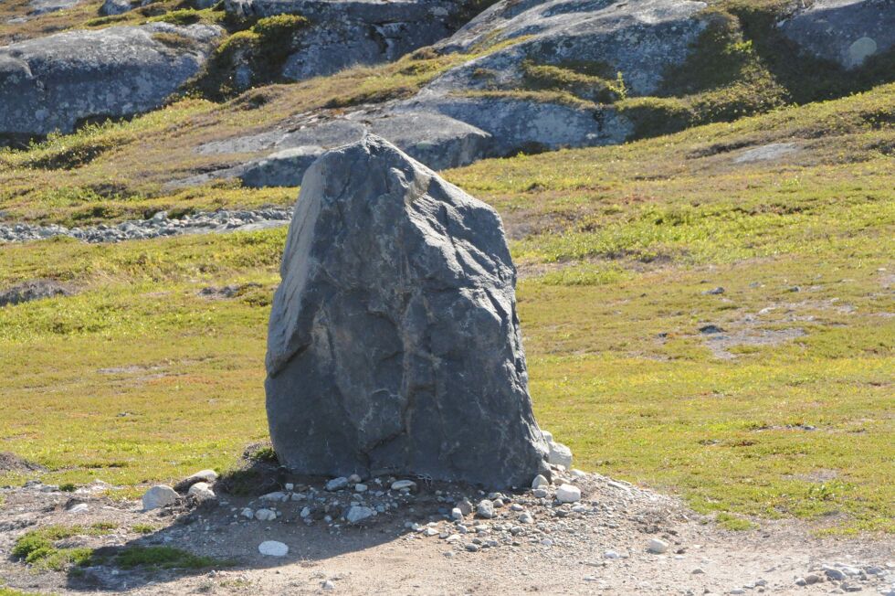 Med litt be­ar­bei­del­se ville den­ne stei­nen blitt en al­de­les ny­de­lig bau­ta­stein, el­ler så­gar en mek­tig grav­stein. Den stor mel­lom Brann­slet­ta og Bug­øy­nes i Sør-Var­ang­er. Foto: Hall­geir Hen­rik­sen