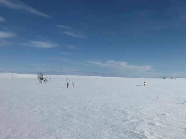 Eiendomsrett og rettigheter i Finnmark