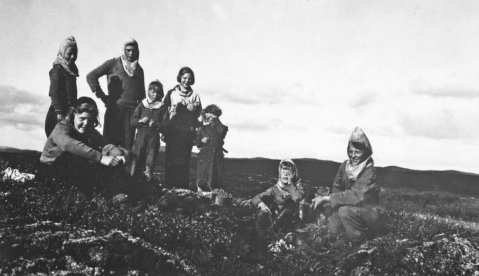 Sju Sivertsen-barn fotografert på multebærtur på Færdesmyra i 1938. Fra venstre bak: Markus (10), Sivert (15), Kåre (8), Grethe (13, min mor), Erna (5), Thor (7), og Ottar (12). Damen som sitter foran er Åse Bolstad. Legg merke til de spesielle mygghattene guttene har på. Midt på bildet skimtes blikkspann med multer, og til høyre holder Ottar svartkjelen over et lite bål.
 Foto: Overrettssakfører Valen