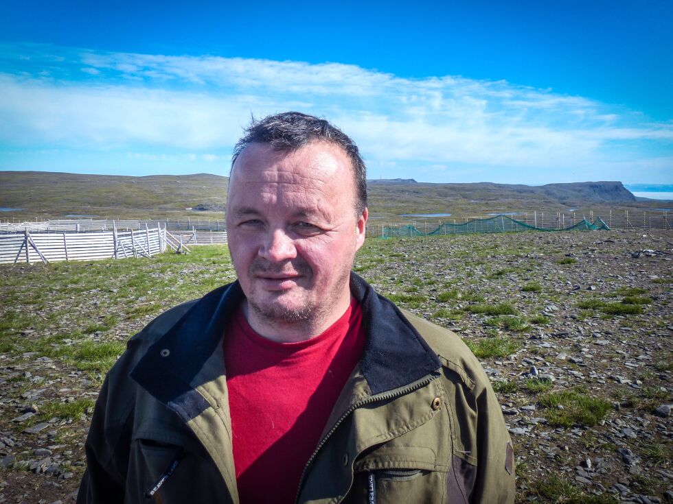 Hele livet sitt har Nils Mikkel Somby levd med familiens reinflokk på Magerøya i sommerhalvåret.  – Det er et fritt og godt liv, sier han.
 Foto: Geir Johansen