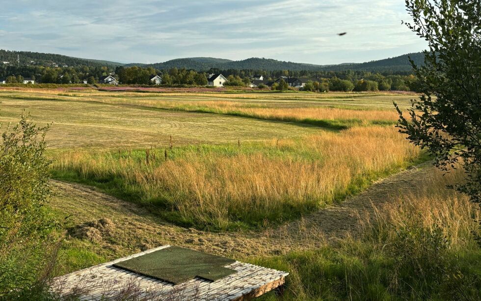 Bildene tatt på larsok-dagen 10. august i Karasjok. «Golfslåtten» er ikke helt ferdig eller på vei til runde 2.
 Foto: Anders Henriksen