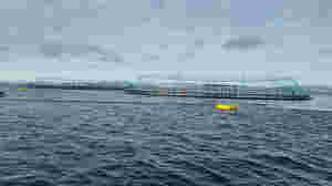 Optimisme etter havbruksmeldinga