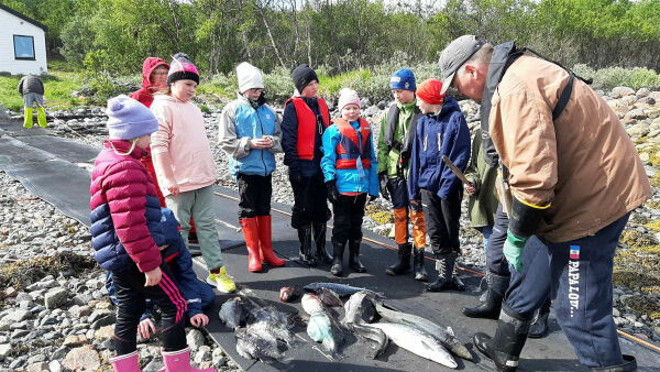 Sjølaksefiske ved Skolteneset
