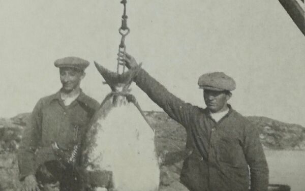 Sjelden fiskeart tatt ved Bugøynes