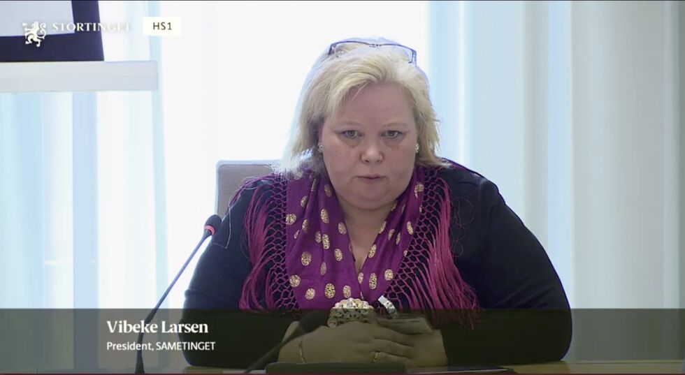 Sametingspresident Vibeke Larsen er både sjef og «finansminister» i sametingsrådet. Mandag besøkte hun Stortingets finanskomité med ett budskap.
 Foto: Stortinget