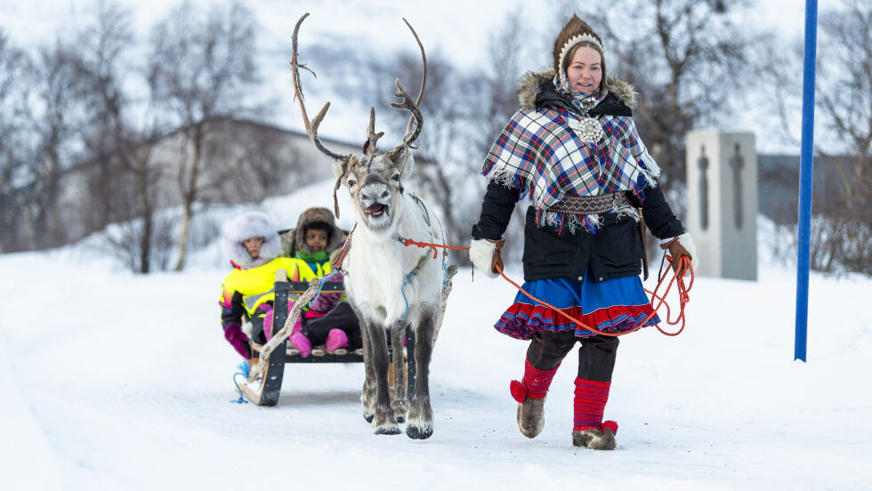 Kjørerein-veteranen Sven koste seg med å trekke sleden med barnehagebarna.
 Foto: Cecilie Bergan Stuedal
