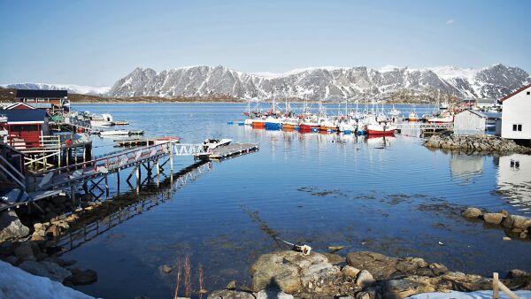 Et Barentshav av plast