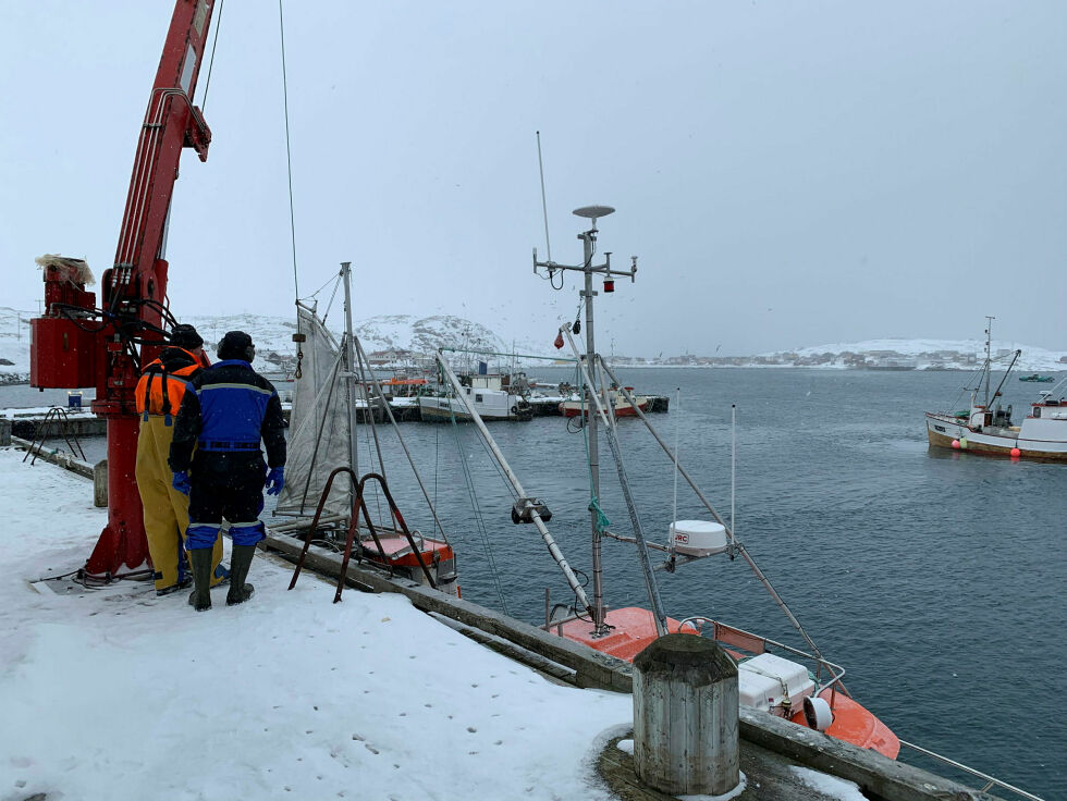 Fisk- og kystallianser ønsker livskraftige fiskerisamfunn i fjordene og langs kysten, som her i Bugøynes i Sør-Varanger.
 Foto: Jørn Malinen