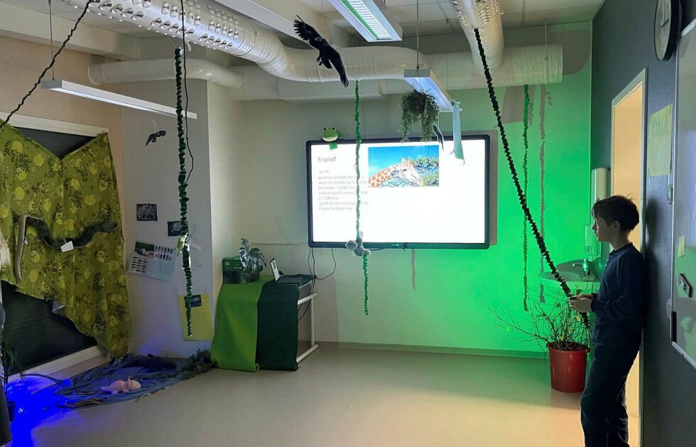 Det ble brukt både lyd, bilde og lyskastere for å skape den rette stemningen til de forskjellige klimasonene.
 Foto: V Jakobselv skole
