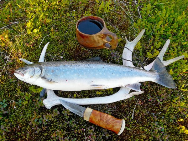 Lovbrudd hos fylkeskommunen