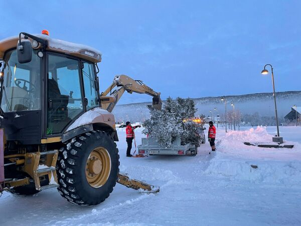 Kaldt, stille og vakkert – og nå kommer juletreet på plass