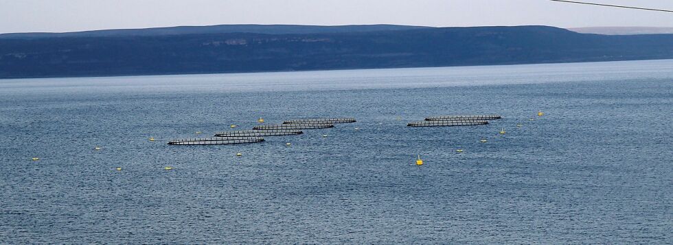Lebesby ønsker fiskeoppdrett velkommen. Illustrasjonsbildet er fra Varangerfjorden.
 Foto: Torbjørn Ittelin