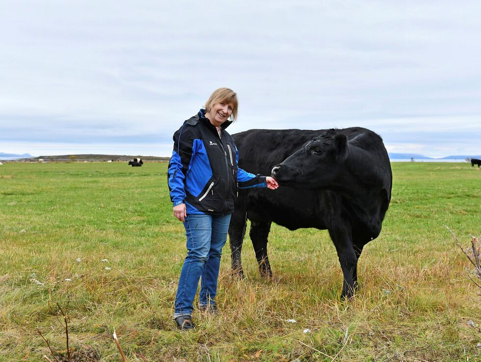 Grethe Liv Olaussen med en ammeku av rasen Aberdeen Angus. Begge foto: Irene Andersen