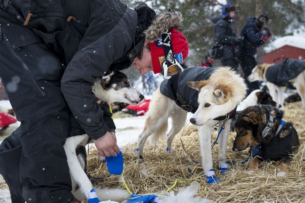 Marit Beate Kasin ligger tett bak Jahnsen ut fra Karasjok.
 Foto: Frøydis F. Urbye