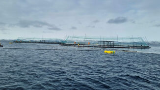 Etablerer nytt system for havbruk